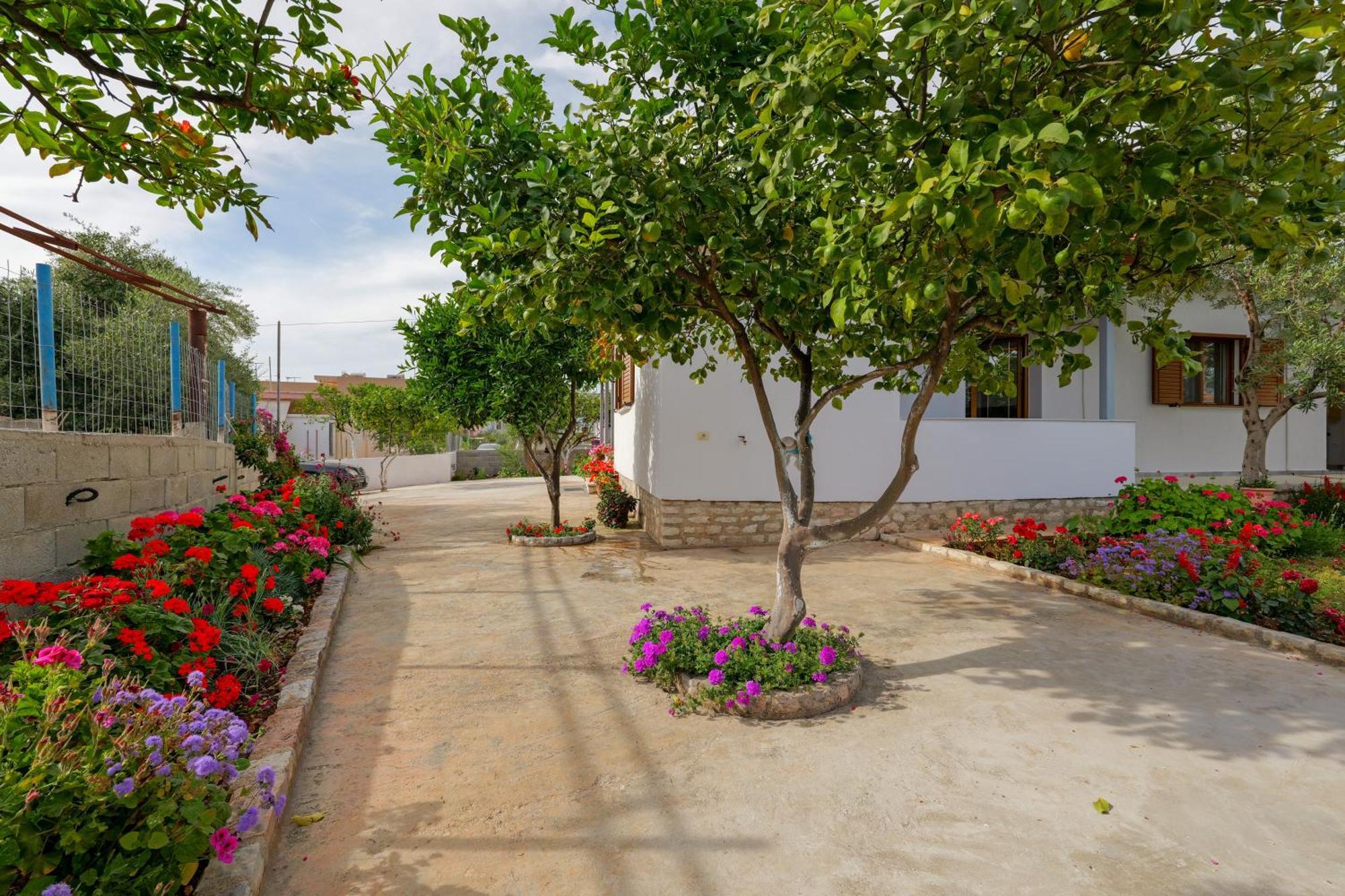Brahimi Guest House Ксамил Екстериор снимка