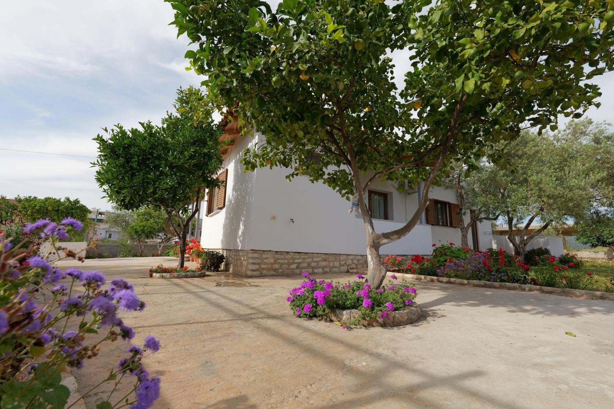 Brahimi Guest House Ксамил Екстериор снимка